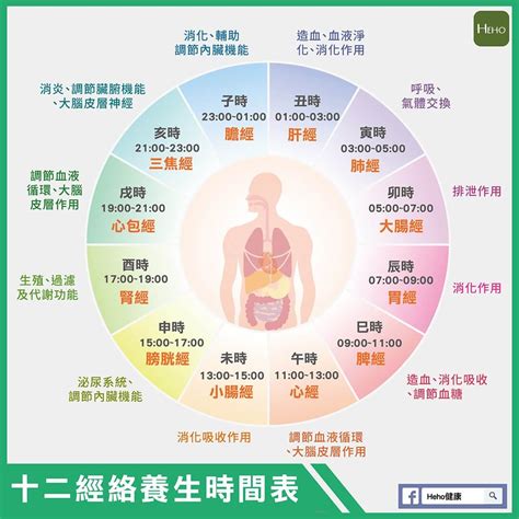 身體五行時間|一張圖看十二經絡養生時間表，依循作息養生事半功倍！